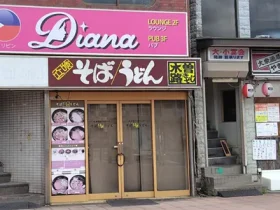 東京都東村山市のフィリピンパブ DIANA（ダイアナ）アイキャッチ画像