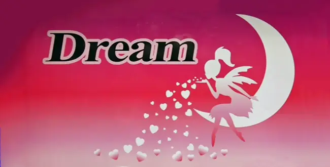 富山県富山市のフィリピンパブ DREAM（ドリーム）アイキャッチ画像